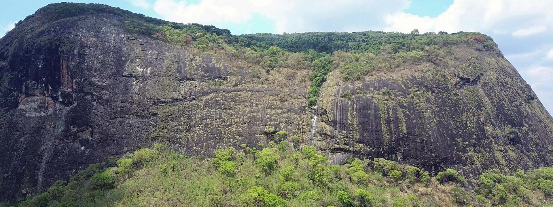 Monte Lico's rainforest 'lost world' | DMM Wales